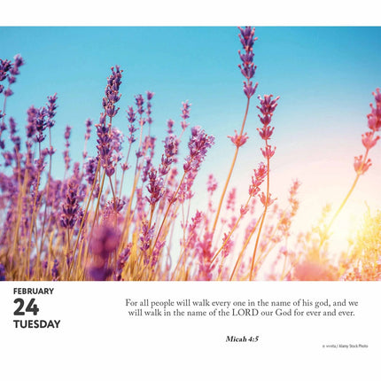 CarouselCalendars Bijbelverzen Scheurkalender 2026 Boxed