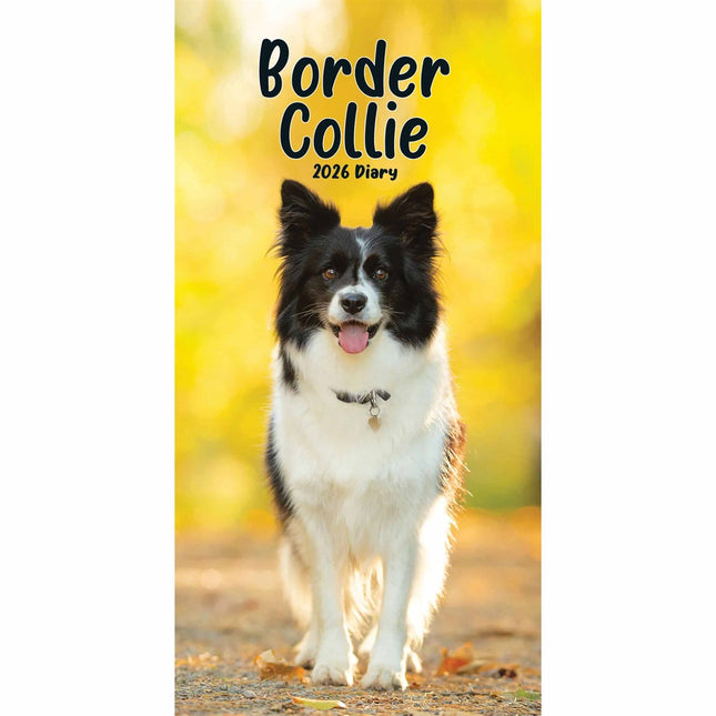 CarouselCalendars Border Collies Slim Agenda 2026