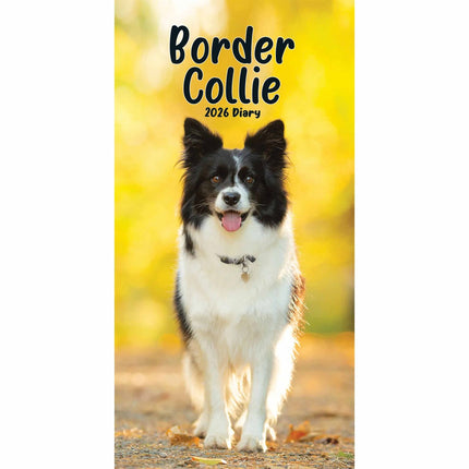 CarouselCalendars Border Collies Slim Agenda 2026