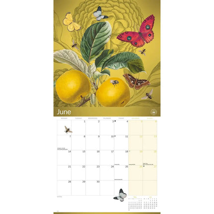 CarouselCalendars Botanic Gardens Kew Kalender 2027