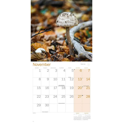 CarouselCalendars Botanische tuinen, Kew In Kleur Kalender 2027