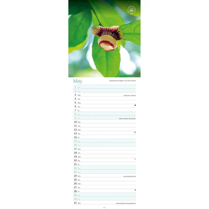 CarouselCalendars Botanische tuinen, Kew In Kleur Kalender 2027 Slimline