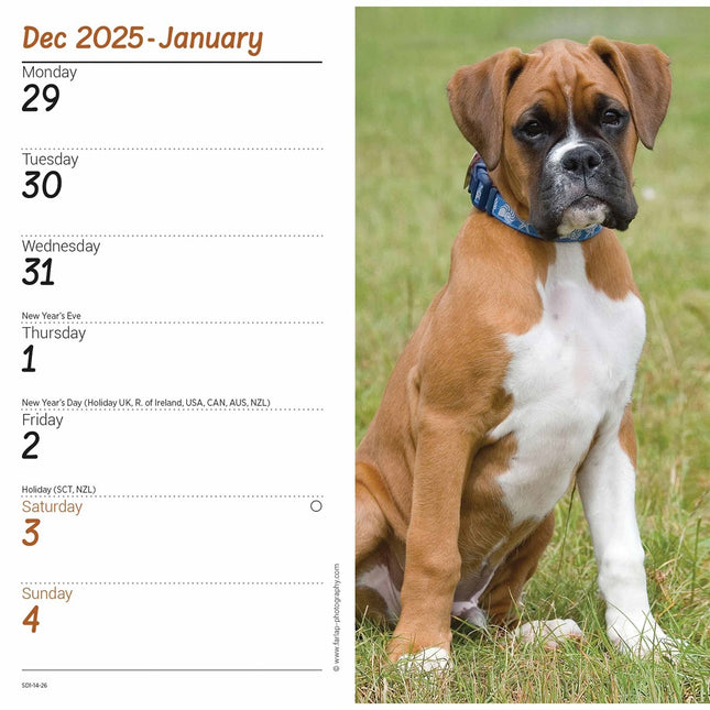 CarouselCalendars Boxer Slim Agenda 2026