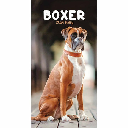 CarouselCalendars Boxer Slim Agenda 2026