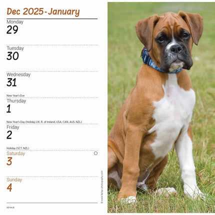 CarouselCalendars Boxer Slim Agenda 2027