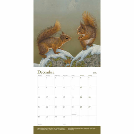 CarouselCalendars British Wildlife Kalender 2026