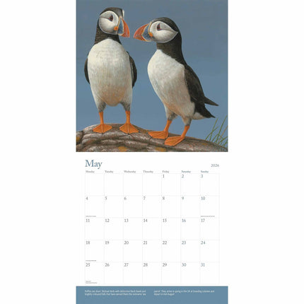 CarouselCalendars British Wildlife Kalender 2026