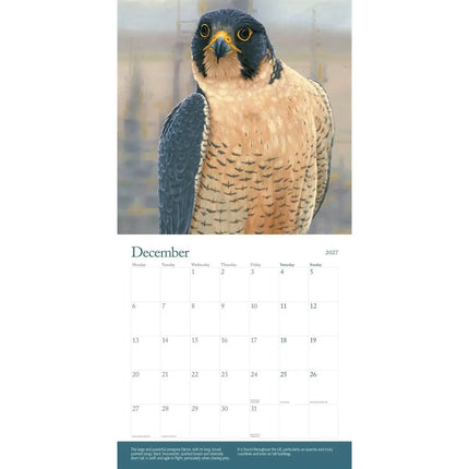 CarouselCalendars British Wildlife Kalender 2027