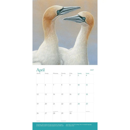 CarouselCalendars British Wildlife Kalender 2027