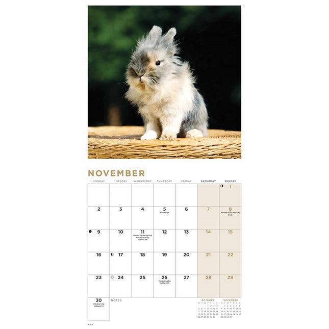 CarouselCalendars Bunnies Kalender 2026 Mini