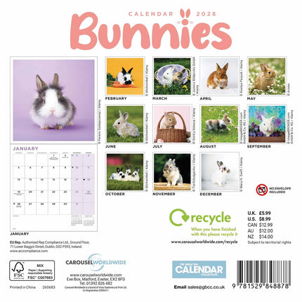 CarouselCalendars Bunnies Kalender 2026 Mini
