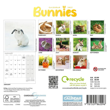 CarouselCalendars Bunnies Kalender 2026 Mini