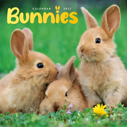 CarouselCalendars Bunnies Kalender 2027 Mini