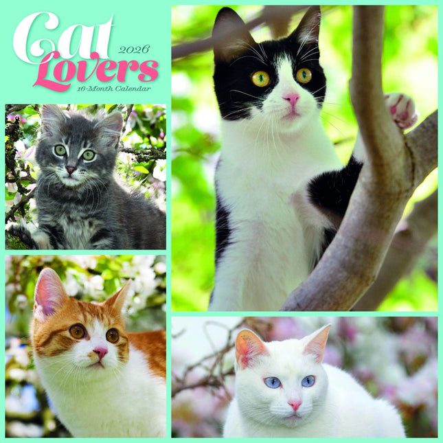 CarouselCalendars Cat Lovers Kalender 2026