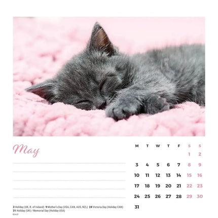 CarouselCalendars Cat Naps Deskkalender 2027