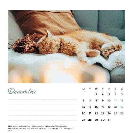 CarouselCalendars Cat Naps Deskkalender 2027