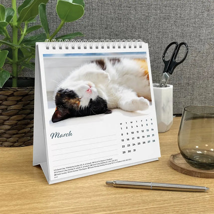CarouselCalendars Cat Naps Deskkalender 2027
