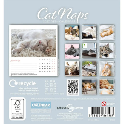 CarouselCalendars Cat Naps Deskkalender 2027