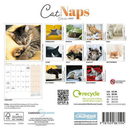 CarouselCalendars Cat Naps Mini Kalender 2026