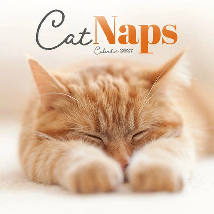 CarouselCalendars Cat Naps Mini Kalender 2026