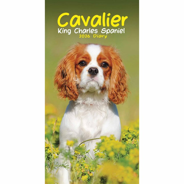 CarouselCalendars Cavalier King Charles Spaniel Slim Agenda 2026