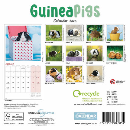 CarouselCalendars Cavia Kalender 2026 Mini
