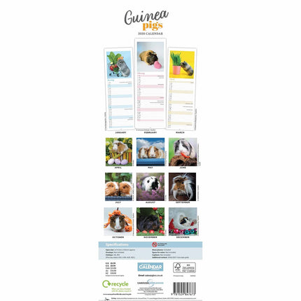 CarouselCalendars Cavia Kalender 2026 Slimline