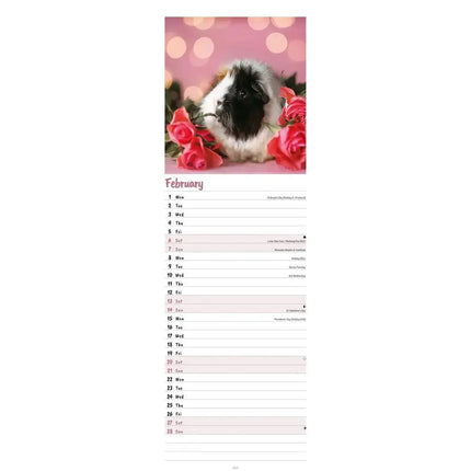 CarouselCalendars Cavia Kalender 2026 Slimline