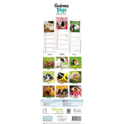 CarouselCalendars Cavia Kalender 2026 Slimline
