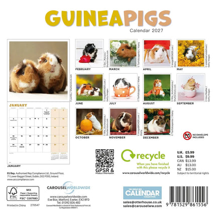 CarouselCalendars Cavia Kalender 2027 Mini