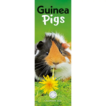CarouselCalendars Cavia Kalender 2027 Slimline