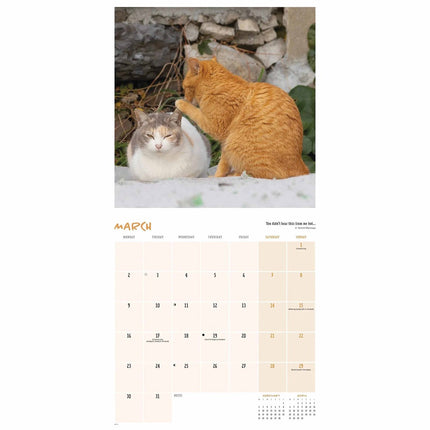 CarouselCalendars Comedy Pet Kalender 2026