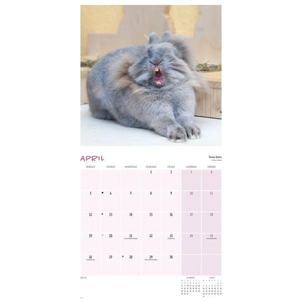 CarouselCalendars Comedy Pet Kalender 2027