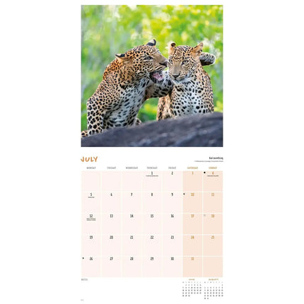 CarouselCalendars Comedy Wildlife Kalender 2027