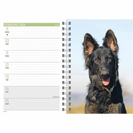 CarouselCalendars Duitse Herder A5 Agenda 2026