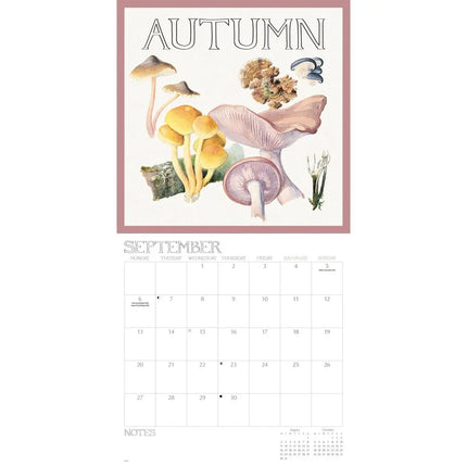 CarouselCalendars Edith Holden, A Country Diary Kalender 2027