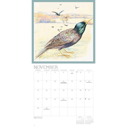 CarouselCalendars Edith Holden, A Country Diary Kalender 2027