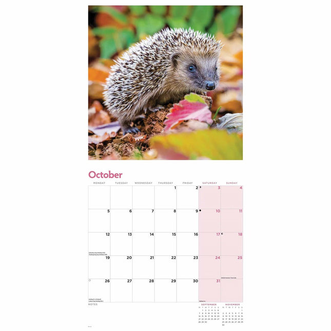 CarouselCalendars Egel Kalender 2026