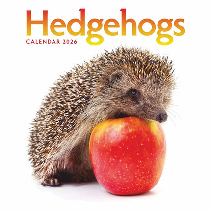 CarouselCalendars Egel Kalender 2026