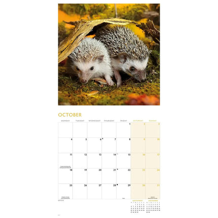 CarouselCalendars Egel Kalender 2027