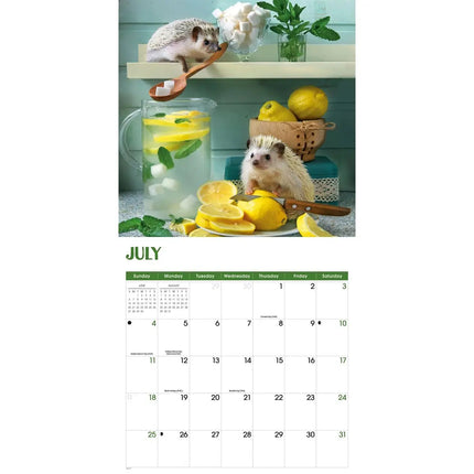 CarouselCalendars Egel! Kalender 2027