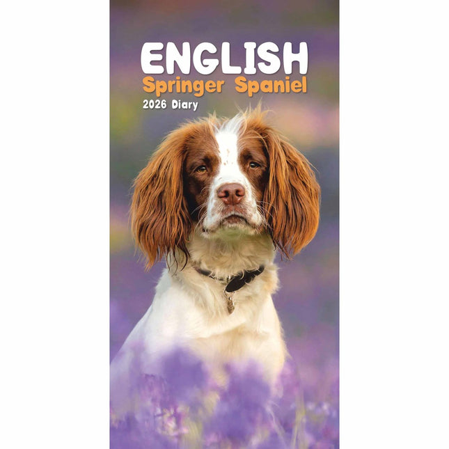CarouselCalendars Engelse Springer Spaniel Slim Agenda 2026