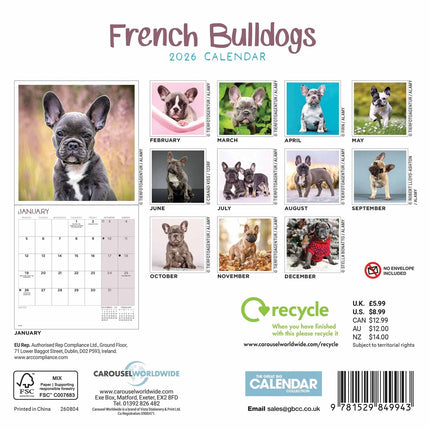 CarouselCalendars Franse Bulldog Kalender 2026 Mini
