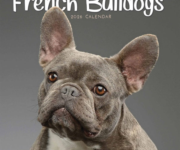 Buying French Bulldog Mini Calendar 2026 Order easily online