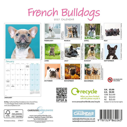 CarouselCalendars Franse Bulldog Kalender 2027 Mini