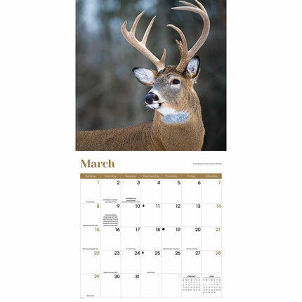 CarouselCalendars Herten Kalender 2026