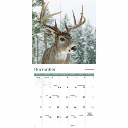 CarouselCalendars Herten Kalender 2026