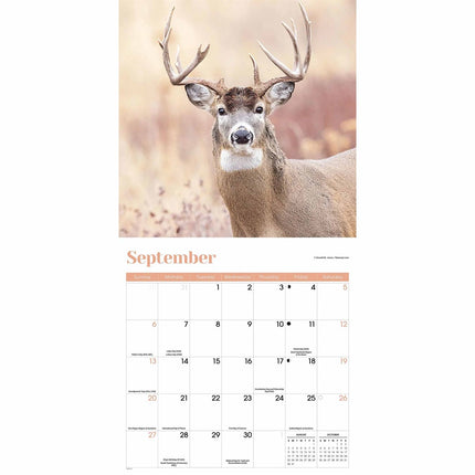CarouselCalendars Herten Kalender 2026