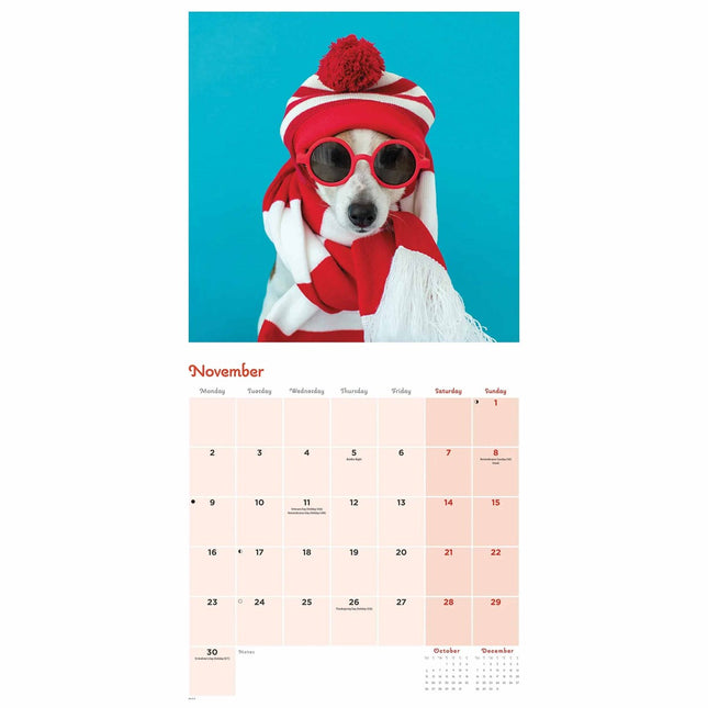 CarouselCalendars Honden Vermomming Kalender 2026
