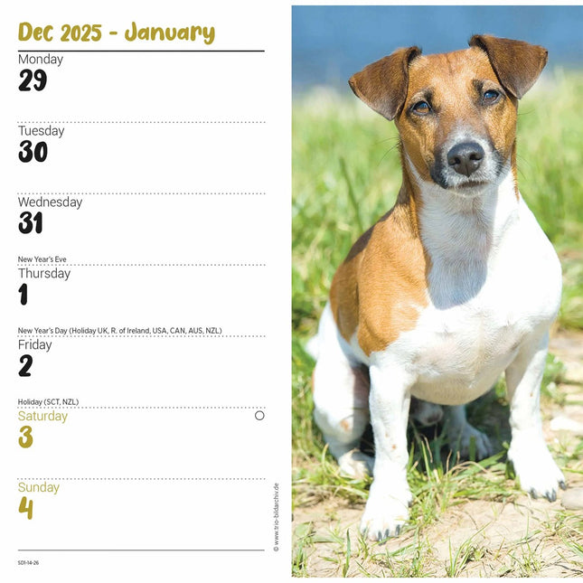 CarouselCalendars Jack Russell Terrier Slim Agenda 2026